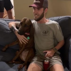 Meet your Posher, Brady